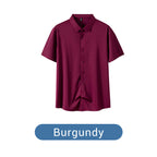 ✨ 50% OFF✨Men's Short Sleeve 4-Way Stretch Shirt