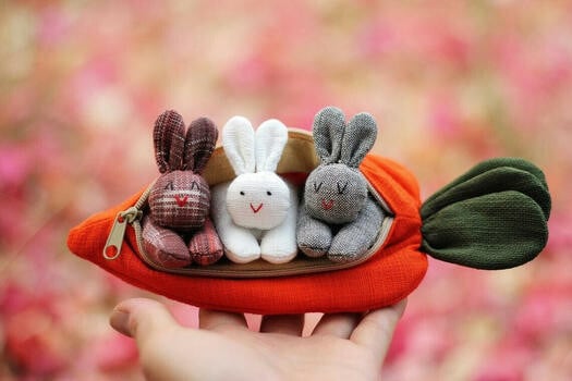🐇🎁 Hide-and-Seek Bunnies in Carrot Pouch