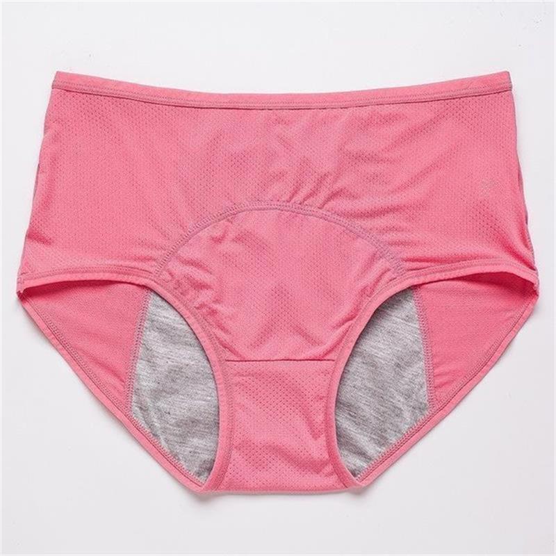 🔥 New women's Upgrade High Waist Leak Proof Panties