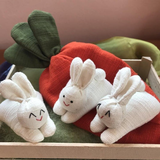 🐇🎁 Hide-and-Seek Bunnies in Carrot Pouch