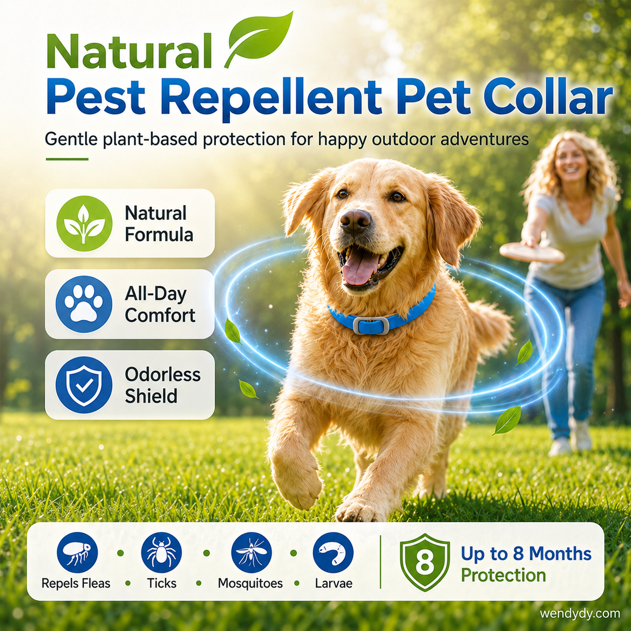 🌿🛡️ Natural Essential Oil Pet Collar – 8‑month flea & tick protection. Plant‑based, no harsh chemicals. Safe for dogs & cats! 🐾✨