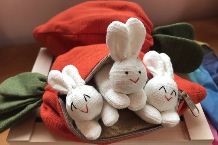 🐇🎁 Hide-and-Seek Bunnies in Carrot Pouch