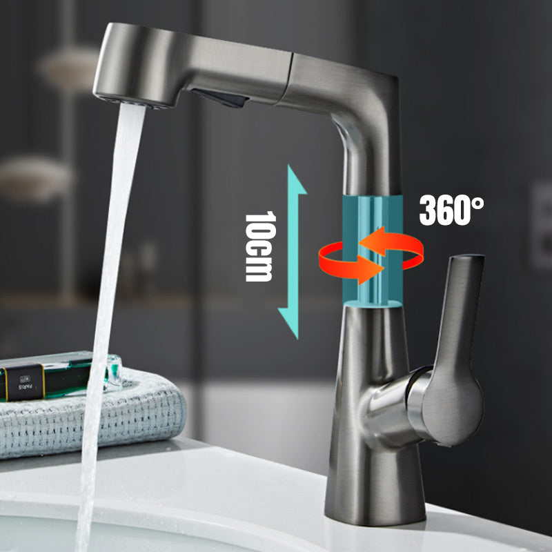 1 Hole Bathroom Faucet with Pull Out Sprayer
