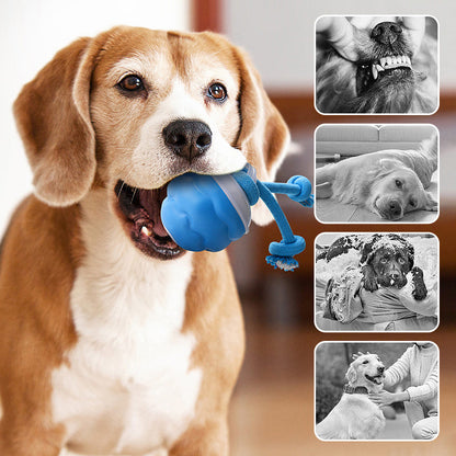 🎄Interactive Electronic Pet Soothing Toy Ball