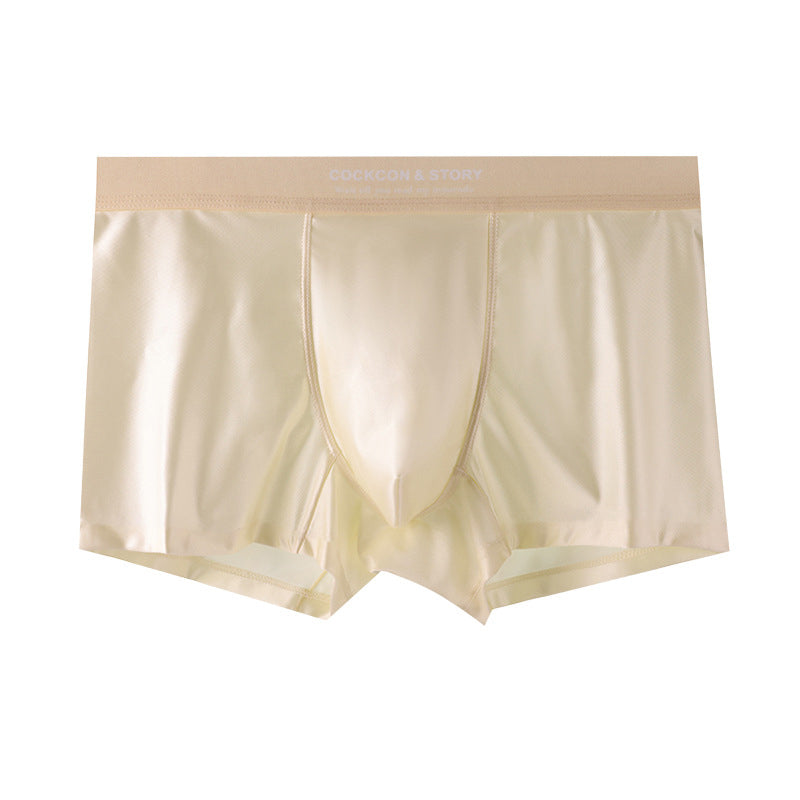 🔥BUY 1 GET 2 Free🔥Men's Satin Ice Silk Briefs