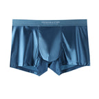 🔥BUY 1 GET 2 Free🔥Men's Satin Ice Silk Briefs
