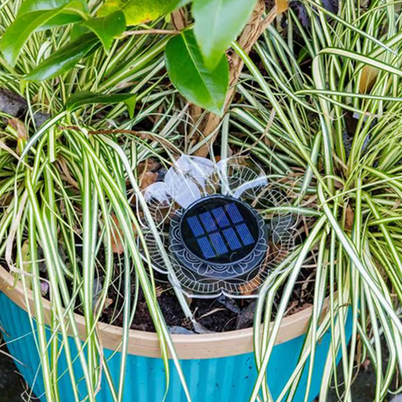 Solar-Powered Waterproof Outdoor Decorative Light