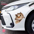 🔥Hot Sale 50% OFF🔥3D D tachable Wall Stickers of Cats