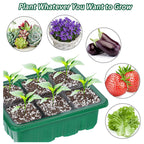 Adjustable Humidity Seed Starter Trays