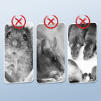 🐀 BUY 1 - GET 1 FREE! ✨ Reusable Rat Trap - Highly Sensitive Trigger, Safe for Children/Pets, Eco-Friendly Design 🏡🔧