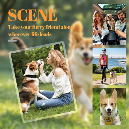 🏆 BUY 1 GET 1 FREE🐶My Pet keyring