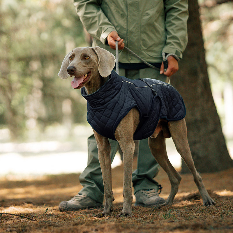 Outdoor Reflective Dog Jacket - Windproof Warm Coat with Secure Leash Opening (Red/Navy)