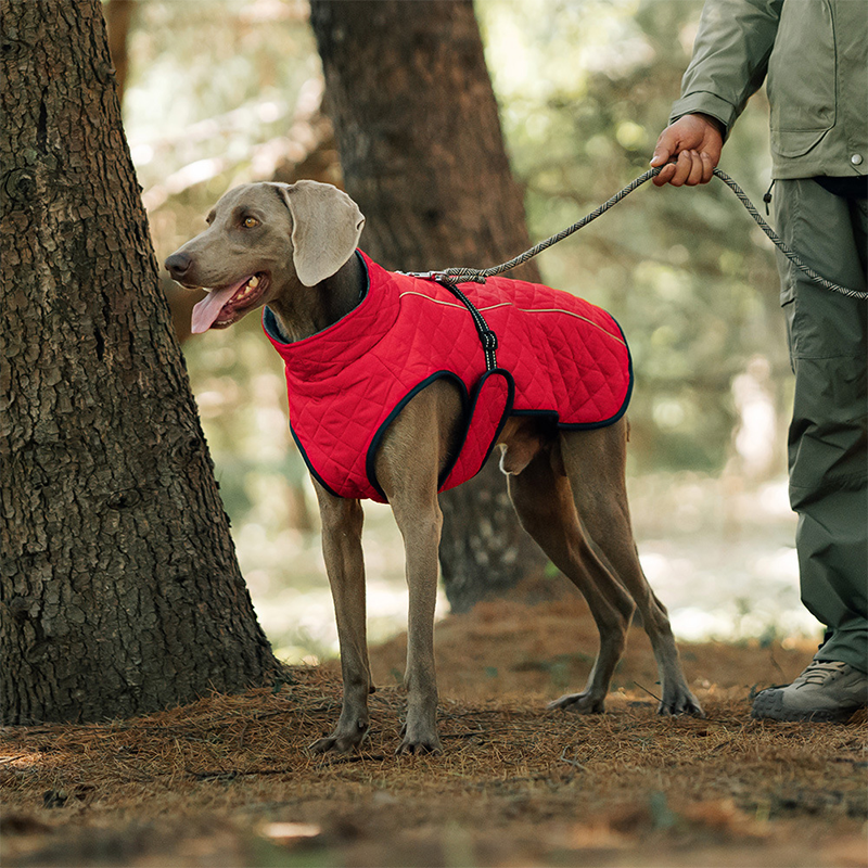 Outdoor Reflective Dog Jacket - Windproof Warm Coat with Secure Leash Opening (Red/Navy)