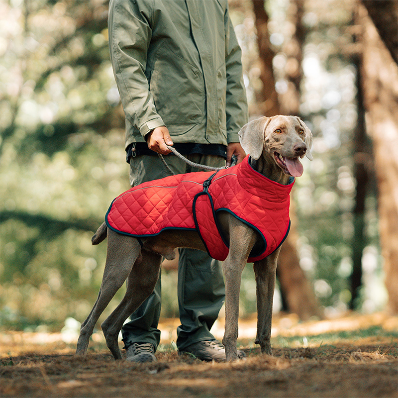 Outdoor Reflective Dog Jacket - Windproof Warm Coat with Secure Leash Opening (Red/Navy)