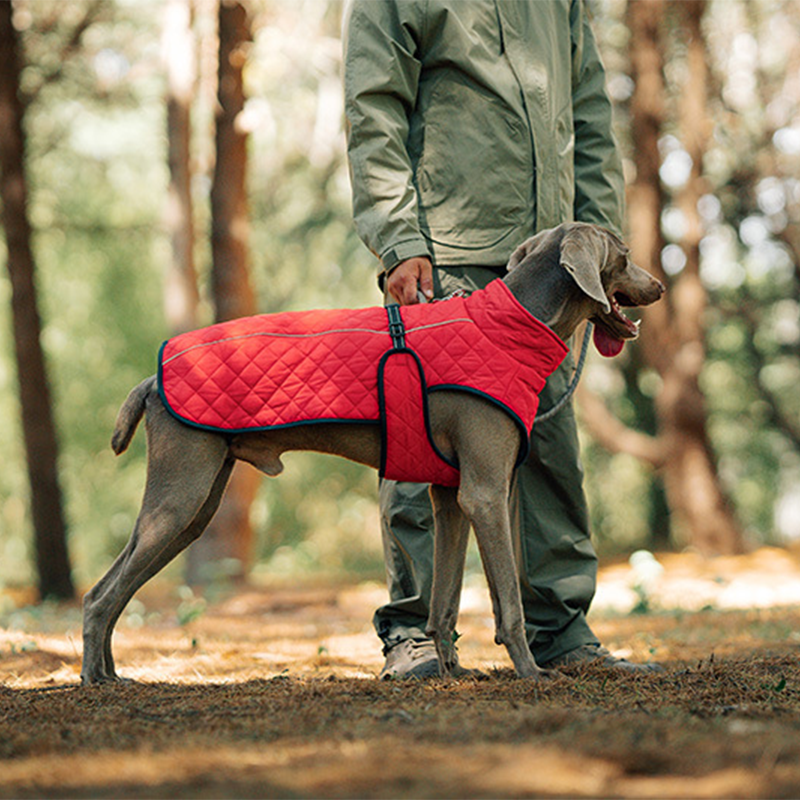 Outdoor Reflective Dog Jacket - Windproof Warm Coat with Secure Leash Opening (Red/Navy)