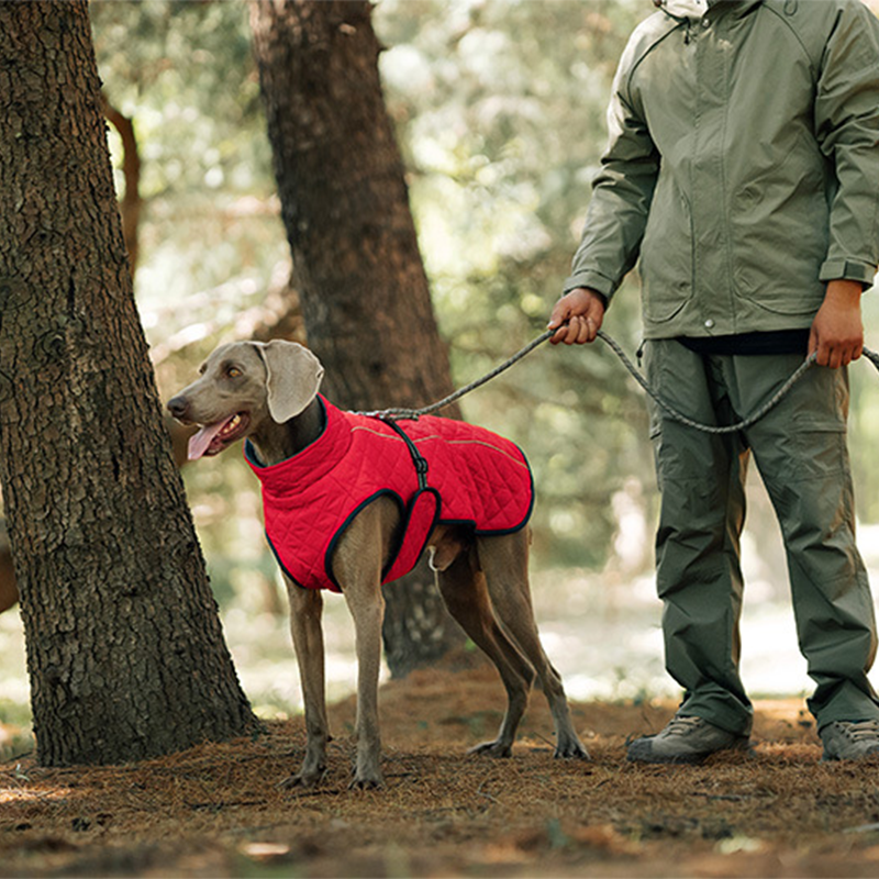 Outdoor Reflective Dog Jacket - Windproof Warm Coat with Secure Leash Opening (Red/Navy)