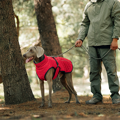 Outdoor Reflective Dog Jacket - Windproof Warm Coat with Secure Leash Opening (Red/Navy)