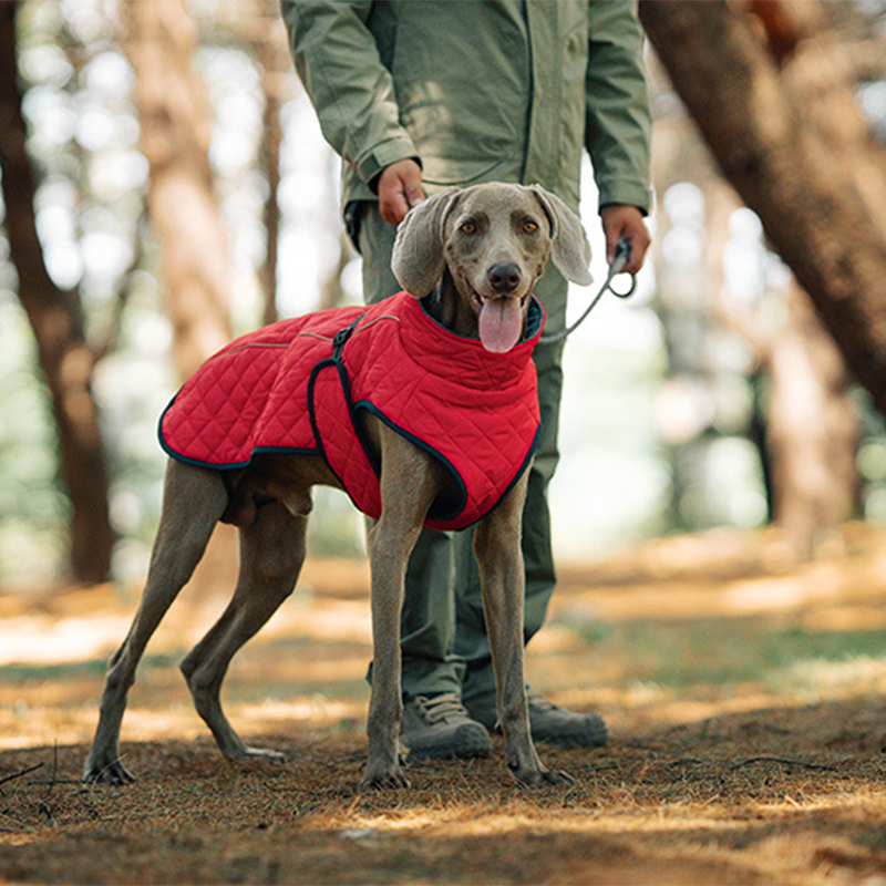 Outdoor Reflective Dog Jacket - Windproof Warm Coat with Secure Leash Opening (Red/Navy)