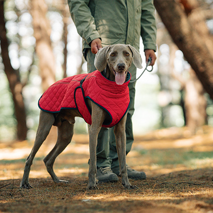 Outdoor Reflective Dog Jacket - Windproof Warm Coat with Secure Leash Opening (Red/Navy)