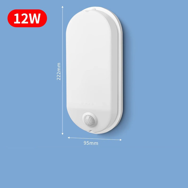 Motion Activated LED Wall Light