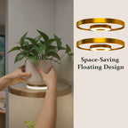 Floating Wall Shelf with Built-in Ambient LED Light