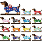 Interchangeable Wooden Seasonal Animal Decor